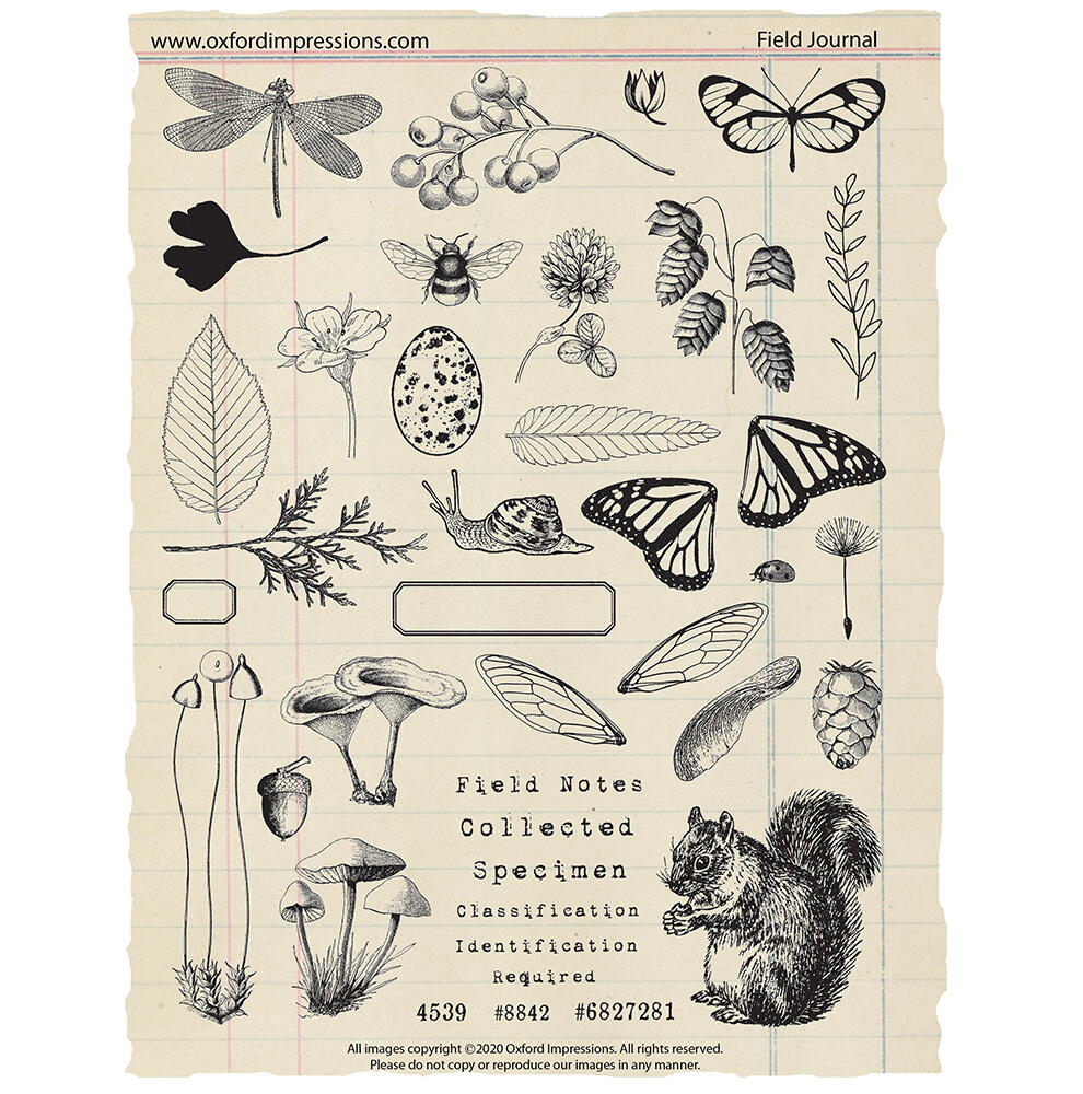 The Field Journal Collection